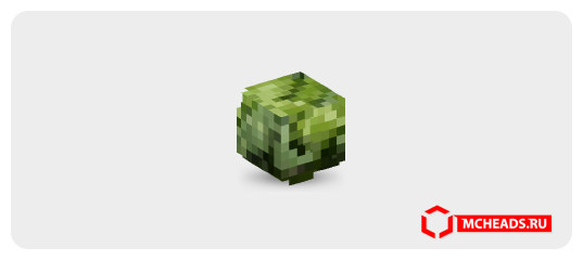 Cabbage — 31417 — Minecraft head