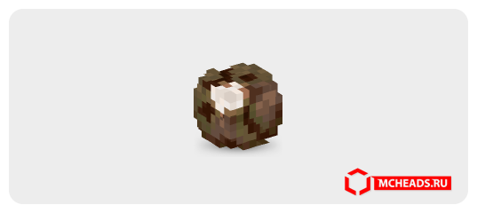 Rotten Chorus Fruit — Minecraft head