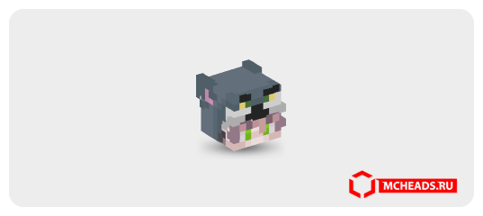 Tom Minecraft Boy with Tom Costume — Minecraft head