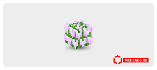 Pink Tulips — Minecraft head