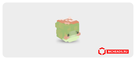 Frog — 91932 — Minecraft head