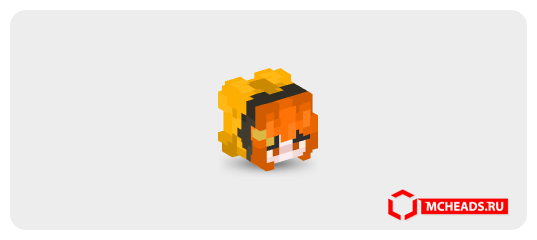 Rio Ranger — Minecraft head