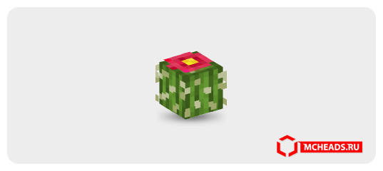 Cactus Flower — Minecraft head