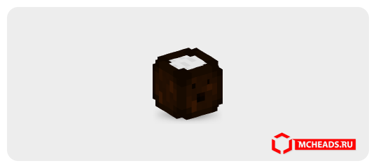 Coconut drink — 8694 — Minecraft head