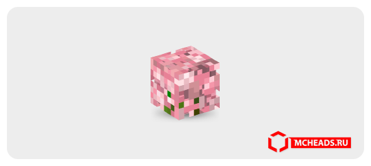 Cherry Blossoms — Minecraft head