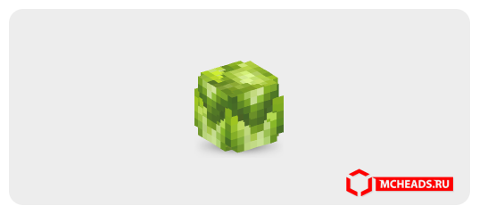 Lettuce — 2227 — Minecraft head
