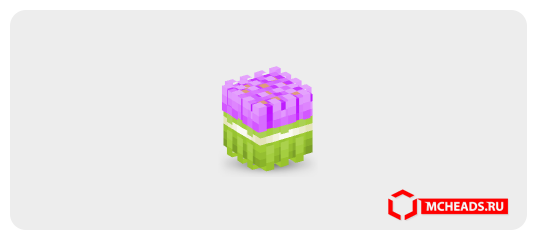 Bundle Cut Tulips (magenta) — Minecraft head