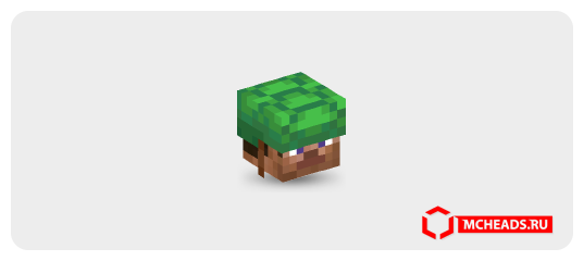 Shell Creature Minecraft Steve with Turtle Shell — Minecraft head