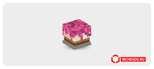 Raspberry Cake — 1726 — Minecraft head