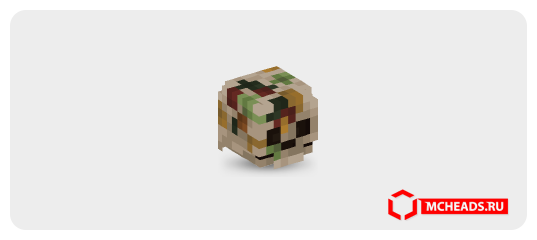 Rotting Skull — Minecraft head