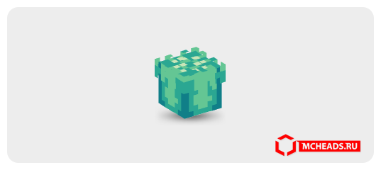 Anemone (green) — Minecraft head