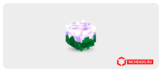 Purple Flower — Minecraft head